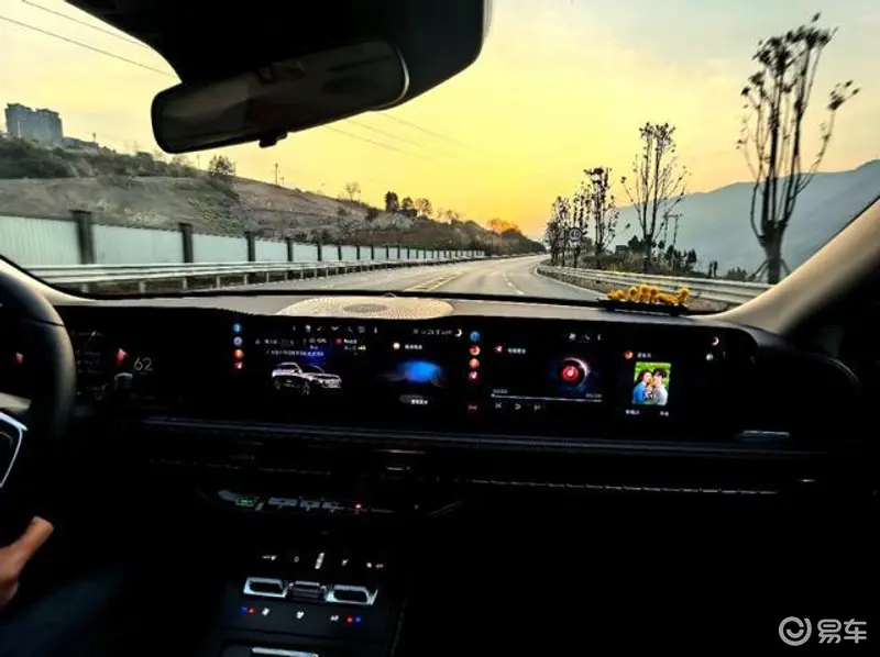 相扑猫:猫界摔跤高手,萌态相扑表演秀-2