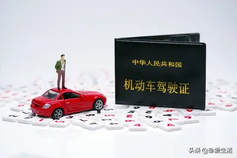 蝌蚪窝一个释放的：智能驾驶新突破，体验革命性改变-2