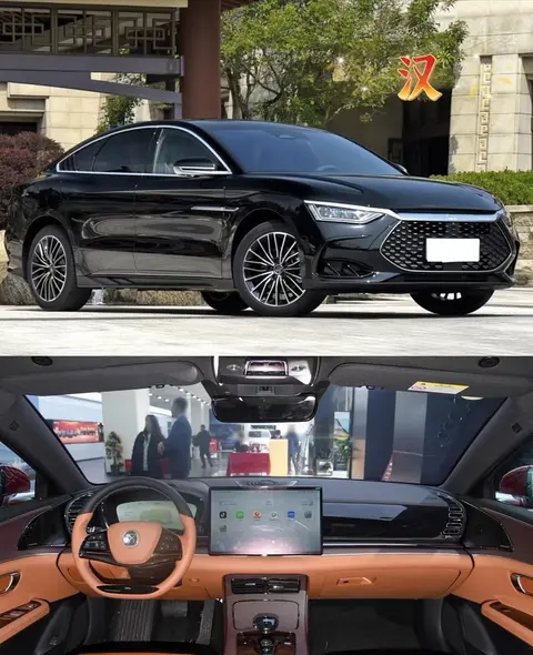 女人和公豬交内谢\\：女性与公猪私密事曝光-2