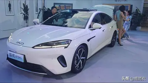 男子挺进雌性宠物：创新设计引领潮流，汽车新风尚来袭-2