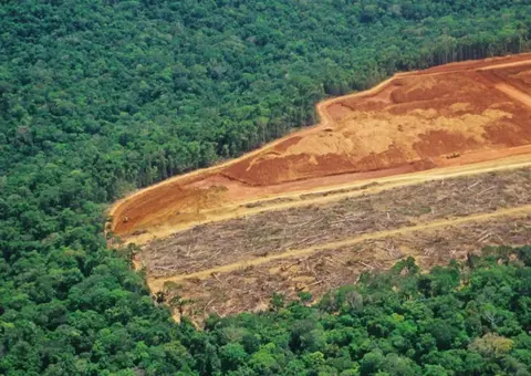 香蕉插进桃子里：汽车巨头牵手科技新贵，跨界合作新潮流揭秘-2