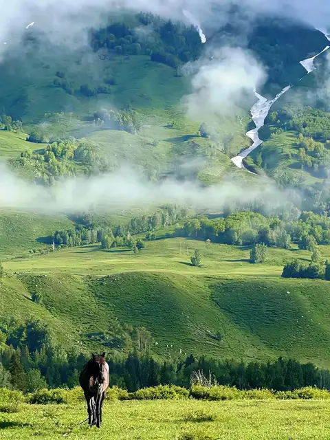 3q的真实讲述情节:《探寻3Q故事,揭秘真实剧情》-2