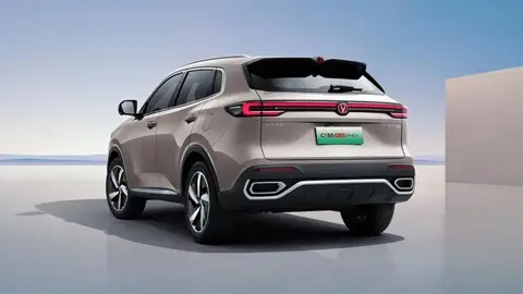 国产又长又大:国产巨兽,尺寸惊人,震撼登场-2