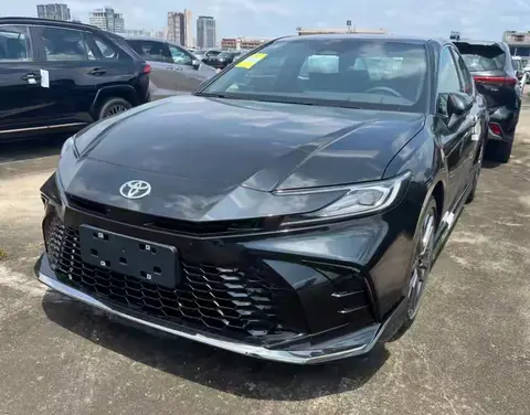 《玛露和他们的园丁》:《玛露与园丁情缘之缘》-2