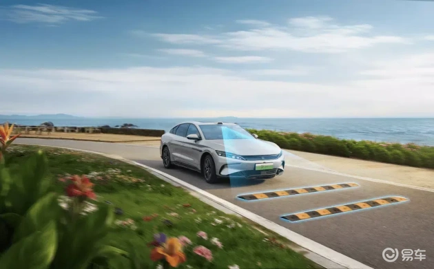 色多多黄：色彩斑斓，生活多姿-2