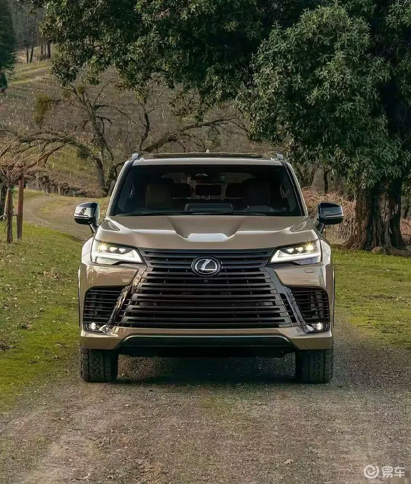 浪花tv直播：新能源汽车崛起，未来趋势解读-2