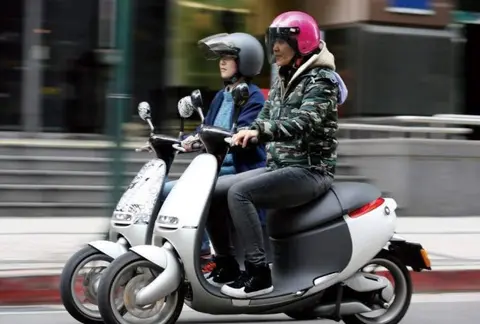 仙踪林老狼：探寻神秘仙踪，揭秘森林中的传奇老狼-2