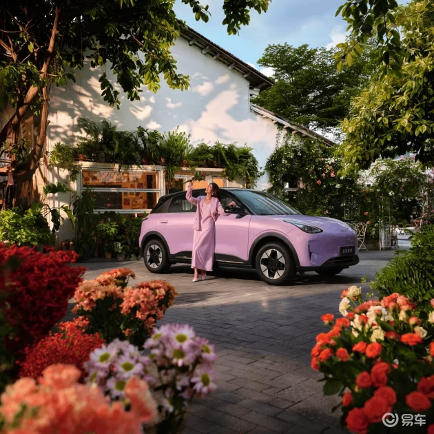 亚洲拳交中国掌交：拳坛风云汇聚，东西方技艺交流-1