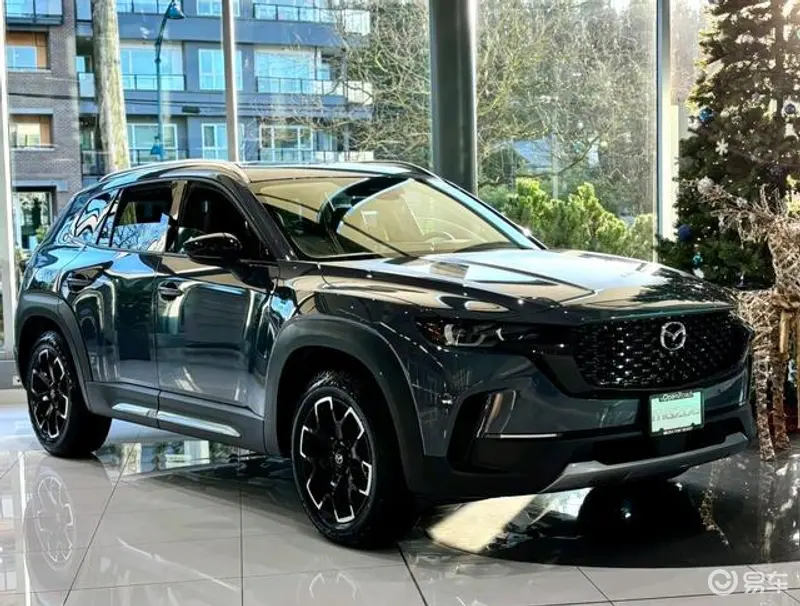 夜夜嗨一区二区三区:新能源汽车崛起,智能驾驶新篇章-3