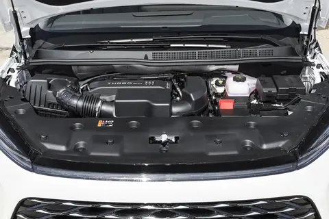 蕾丝视频污:不雅视频内容涉及蕾丝元素-2