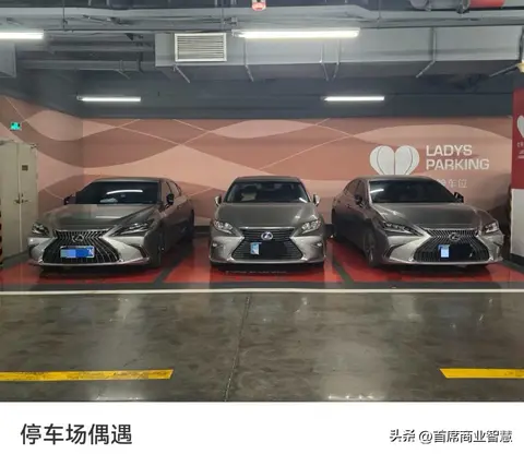 鲁大师精品一区二区:鲁大师精选版块一、二区域合集-2