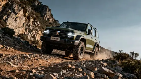 猫咪成人社区:宠物猫友交流乐园-2